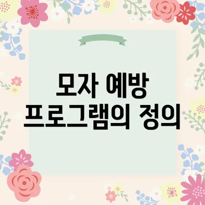 모자 예방 프로그램의 정의