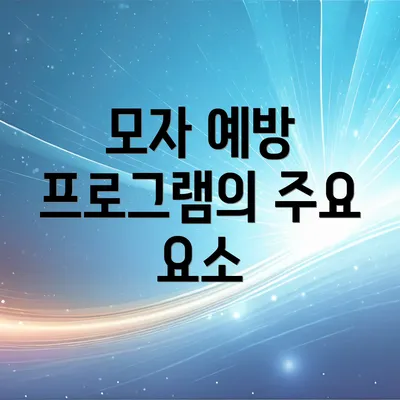 모자 예방 프로그램의 주요 요소
