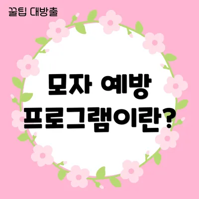 모자 예방 프로그램이란?
