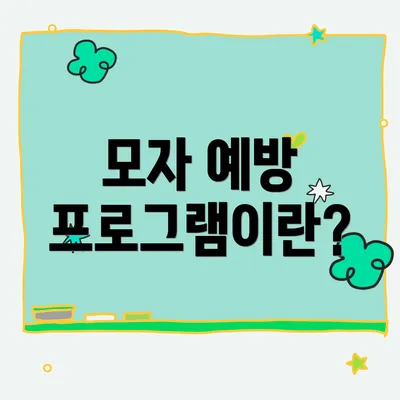 모자 예방 프로그램이란?