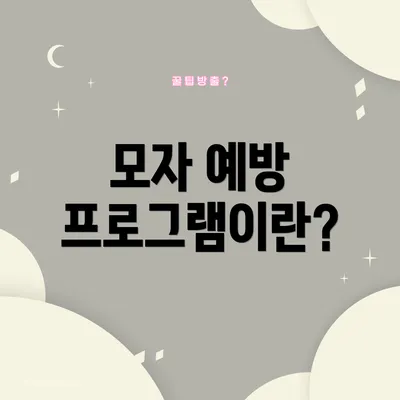 모자 예방 프로그램이란?