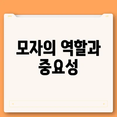 모자의 역할과 중요성