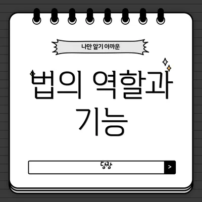 법의 역할과 기능
