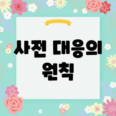 사전 대응의 원칙