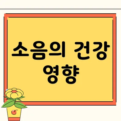 소음의 건강 영향