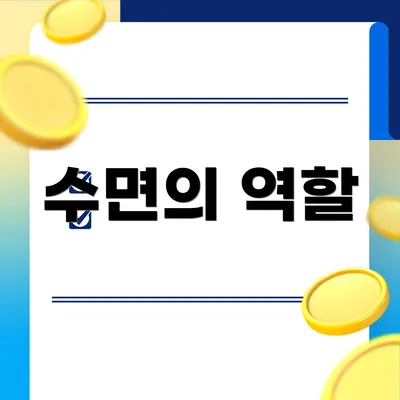 수면의 역할