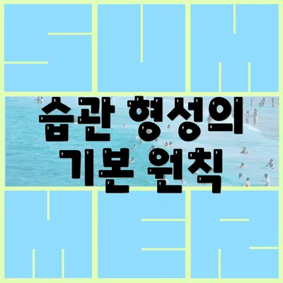 습관 형성의 기본 원칙