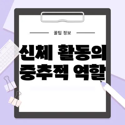 신체 활동의 중추적 역할
