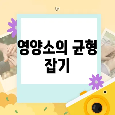 영양소의 균형 잡기
