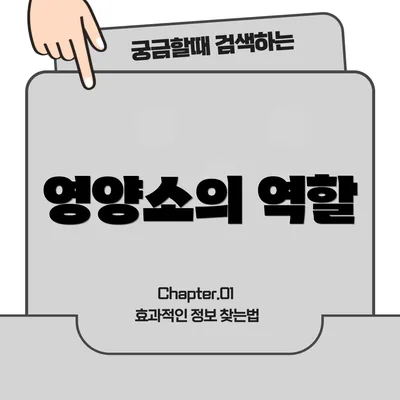 영양소의 역할