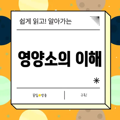 영양소의 이해
