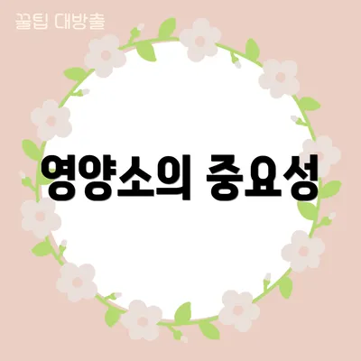영양소의 중요성