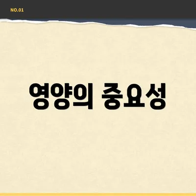 영양의 중요성