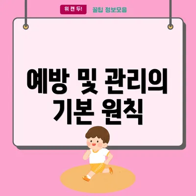 예방 및 관리의 기본 원칙