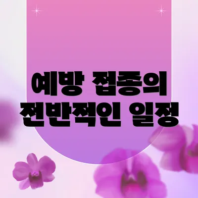 예방 접종의 전반적인 일정