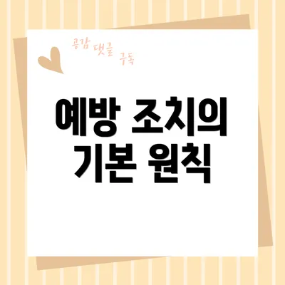 예방 조치의 기본 원칙