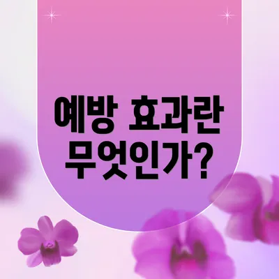예방 효과란 무엇인가?