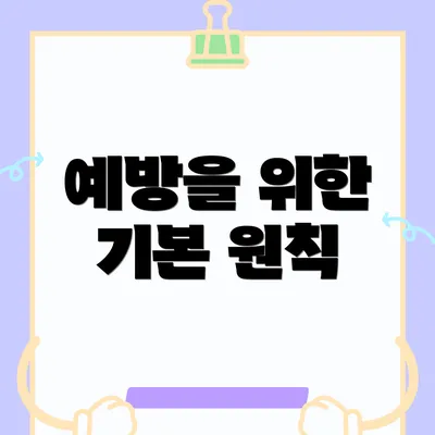 예방을 위한 기본 원칙