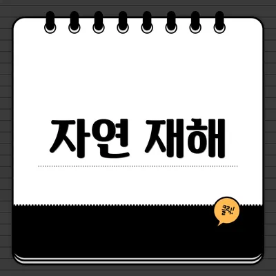 자연 재해