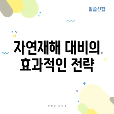 자연재해 대비의 효과적인 전략