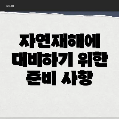 자연재해에 대비하기 위한 준비 사항