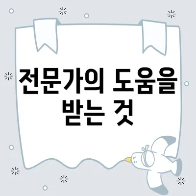 전문가의 도움을 받는 것