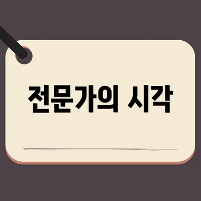 전문가의 시각