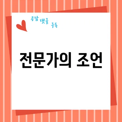 전문가의 조언