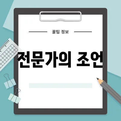 전문가의 조언