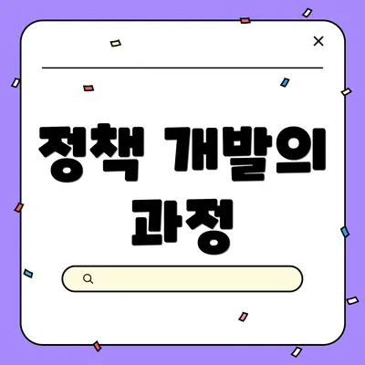 정책 개발의 과정