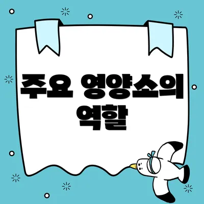 주요 영양소의 역할