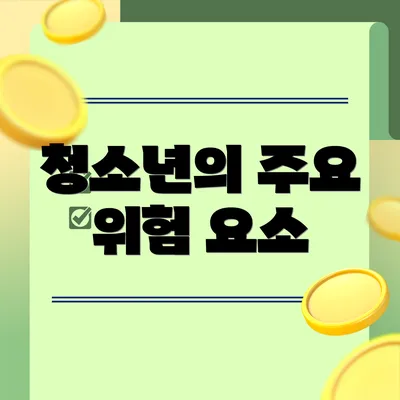 청소년의 주요 위험 요소