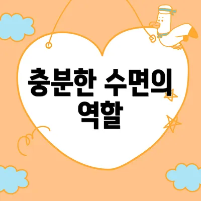 충분한 수면의 역할