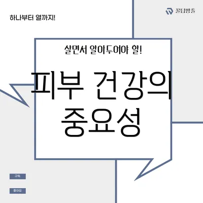 피부 건강의 중요성