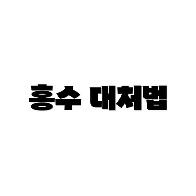 홍수 대처법