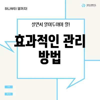 효과적인 관리 방법