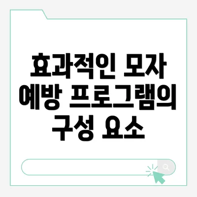 효과적인 모자 예방 프로그램의 구성 요소