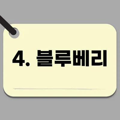 4. 블루베리