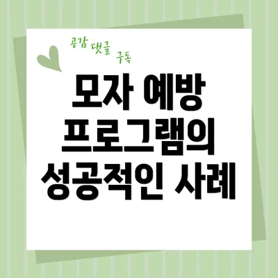 모자 예방 프로그램의 성공적인 사례