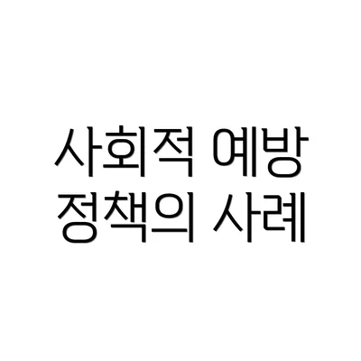 사회적 예방 정책의 사례