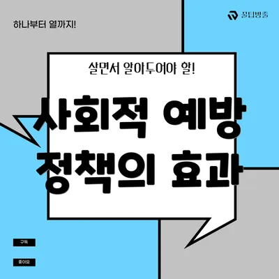 사회적 예방 정책의 효과