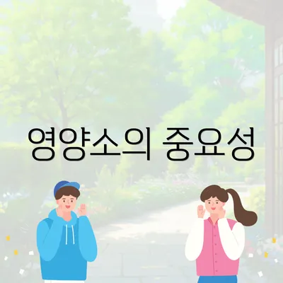 영양소의 중요성
