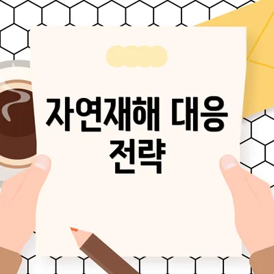 자연재해 대응 전략