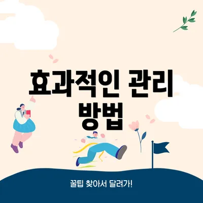 효과적인 관리 방법