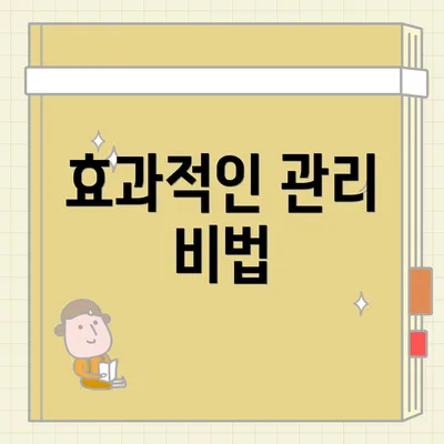 효과적인 관리 비법