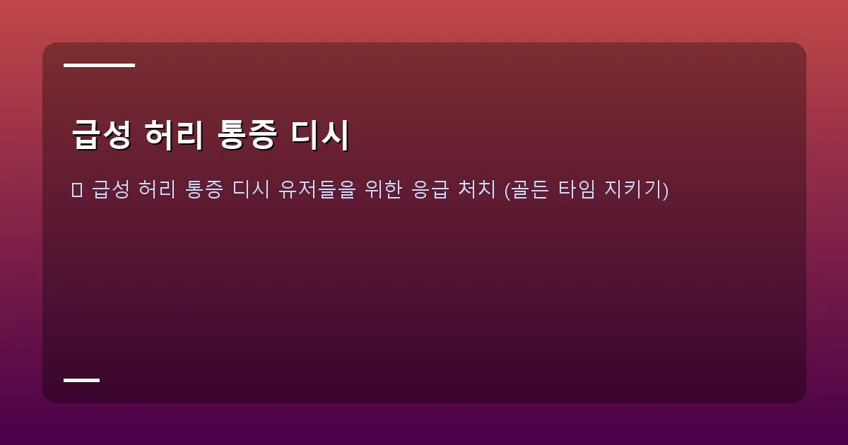 급성 허리 통증 디시 - 허리 통증 유발 자세