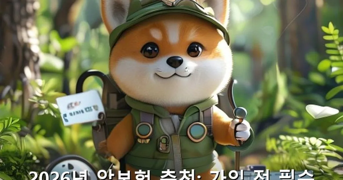암보험 추천 - didckswh.co.kr 캐릭터