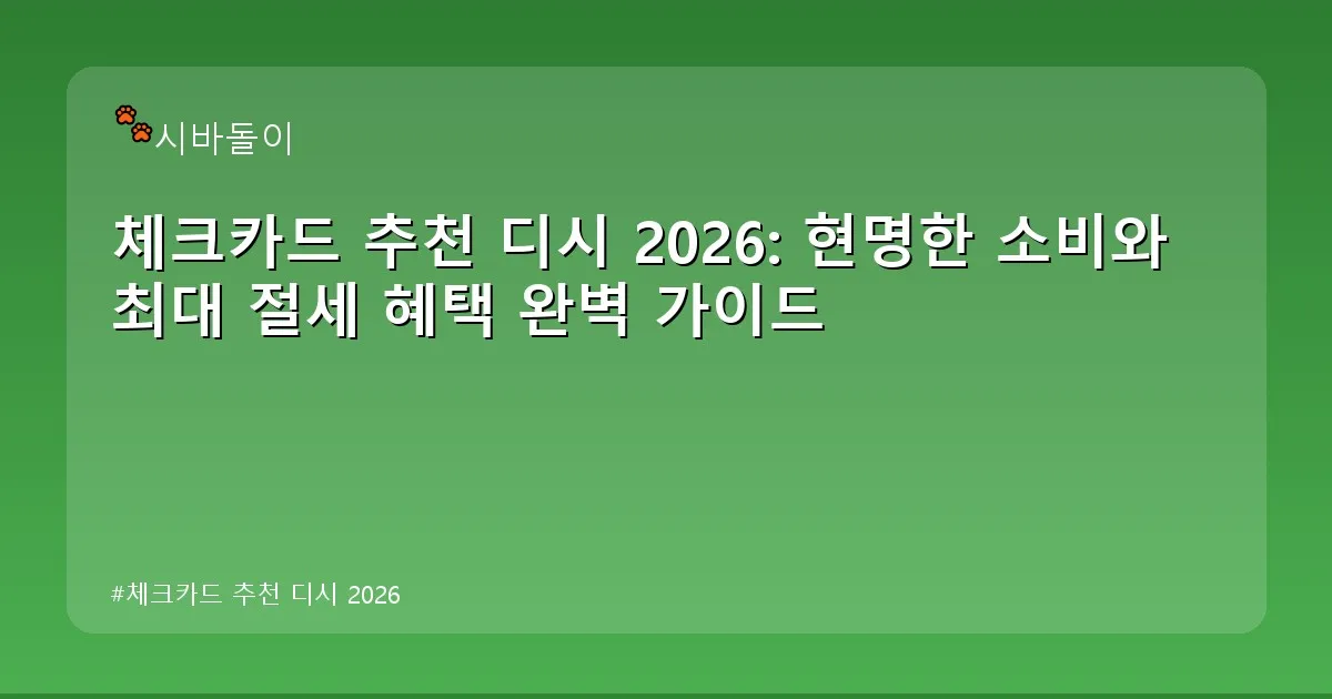 체크카드 추천 디시 2026 - didckswh.co.kr 캐릭터