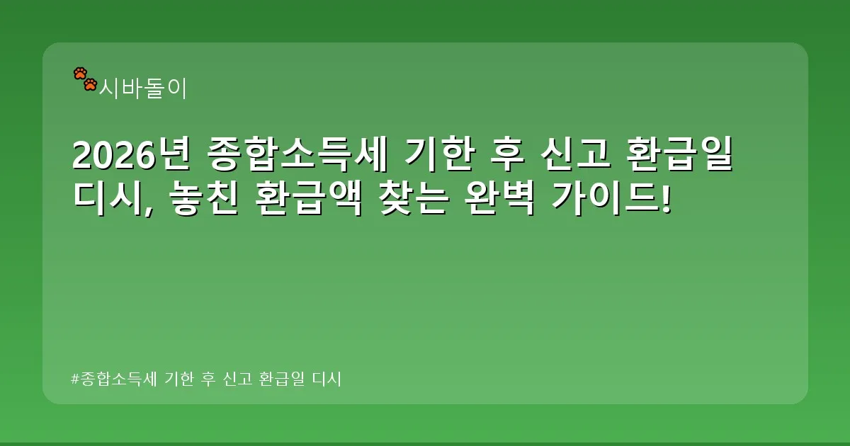 종합소득세 기한 후 신고 환급일 디시 - didckswh.co.kr 캐릭터