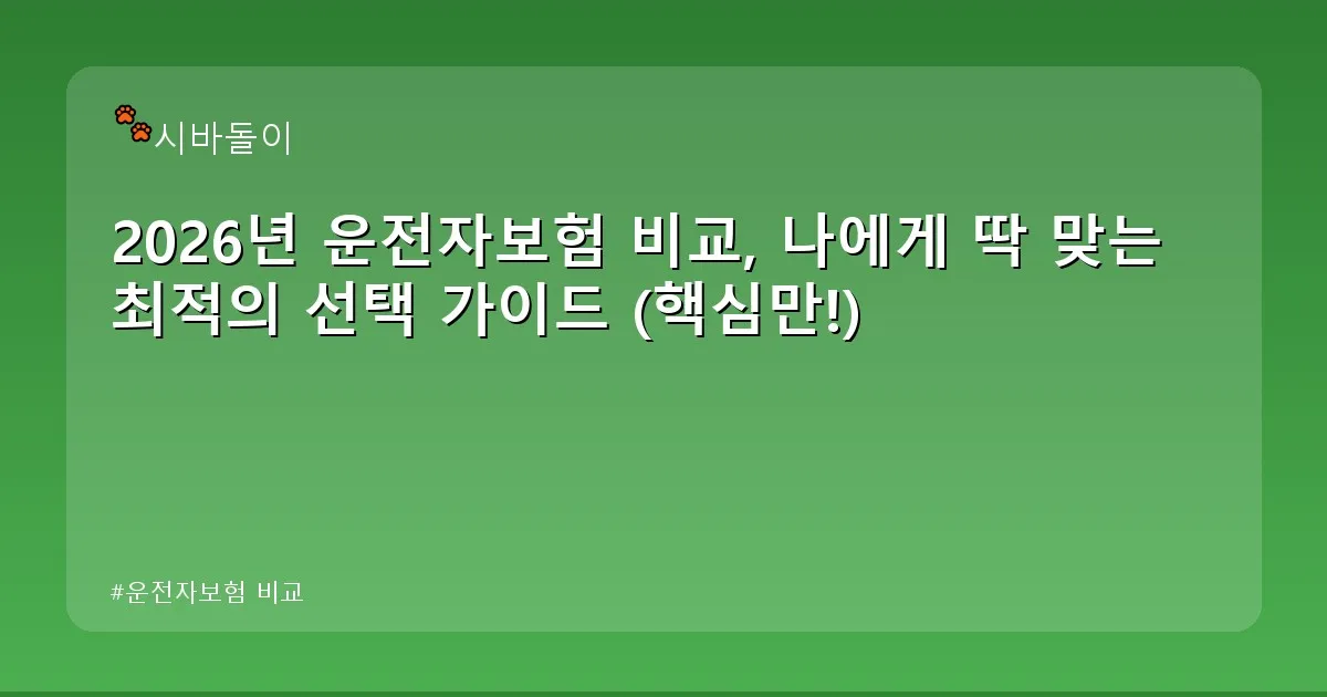 운전자보험 비교 - didckswh.co.kr 캐릭터